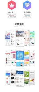電商軟件定制開發 軟件開發 app開發 app外包開發公司